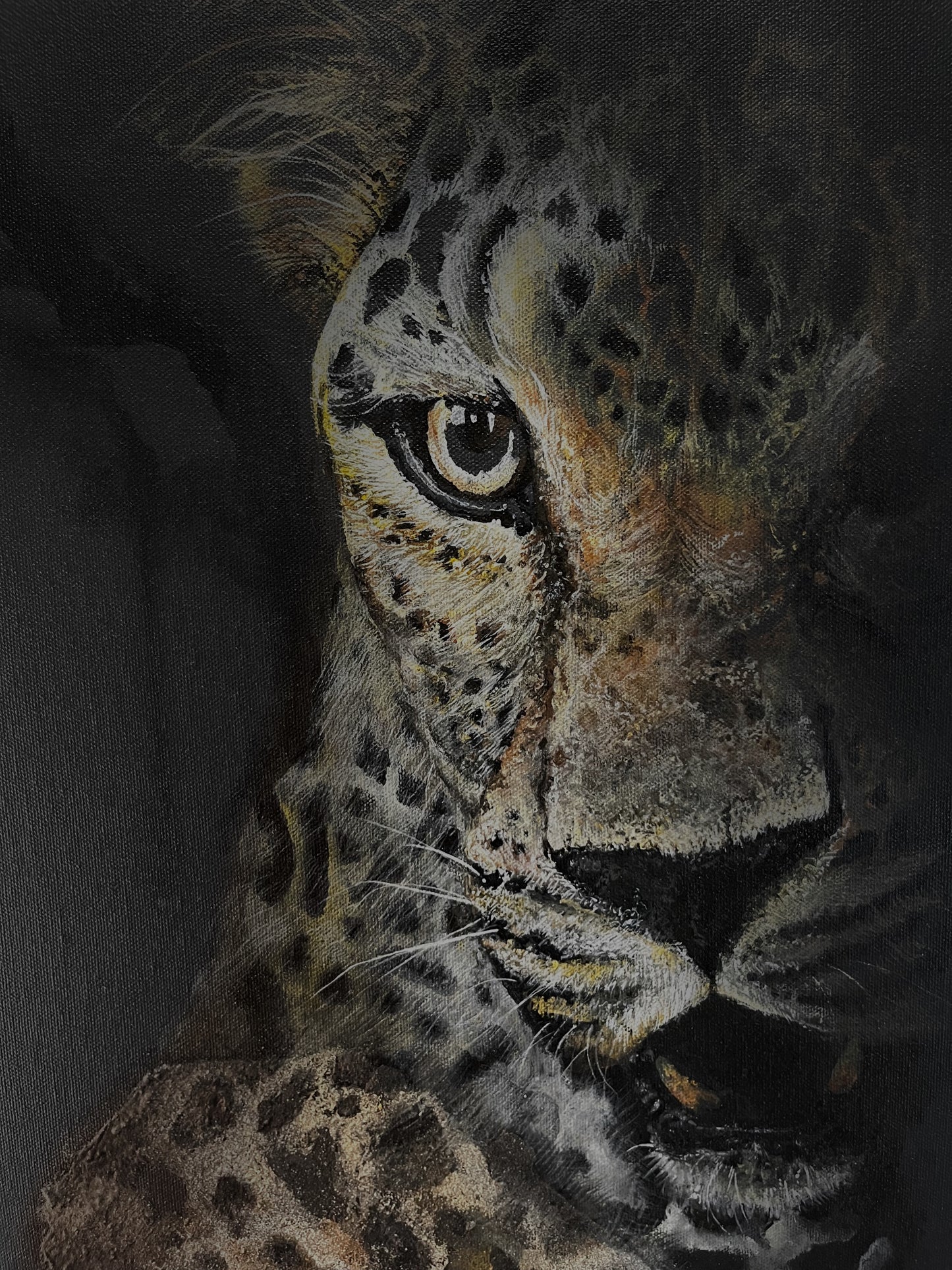 Leopard Sand