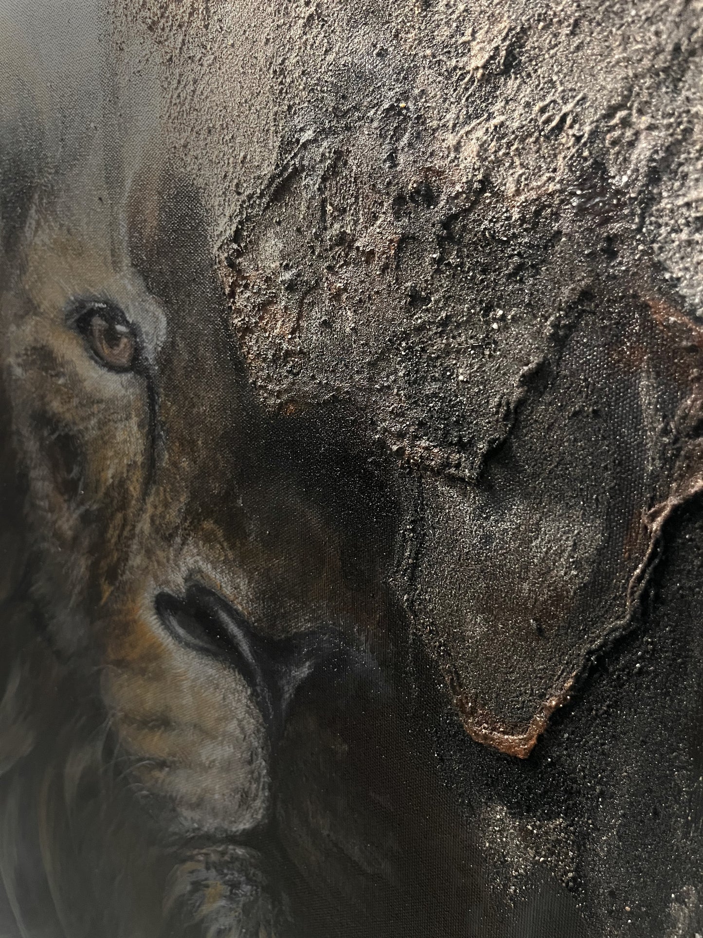 Lion2 Sand