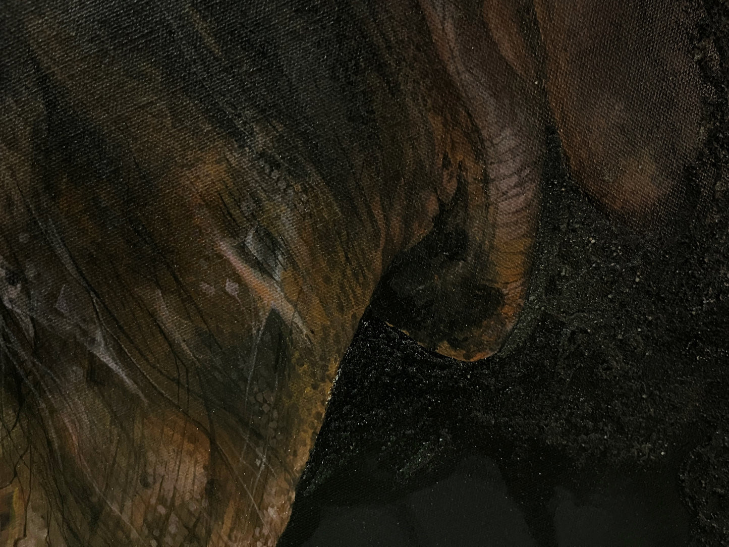 Rhino Sand